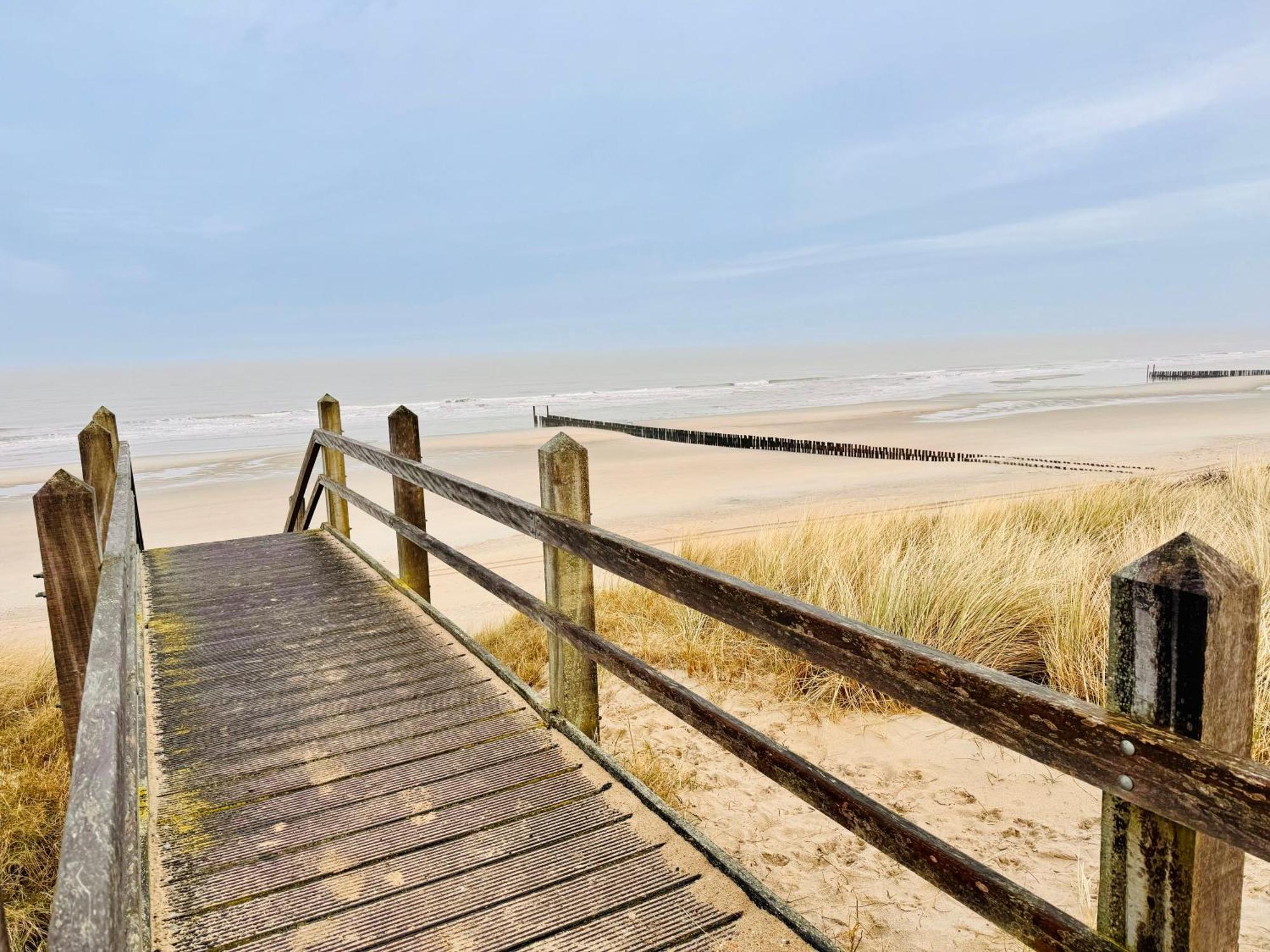 Beach & Forest Retreat -Domburg- Oostkapelle Exteriér fotografie