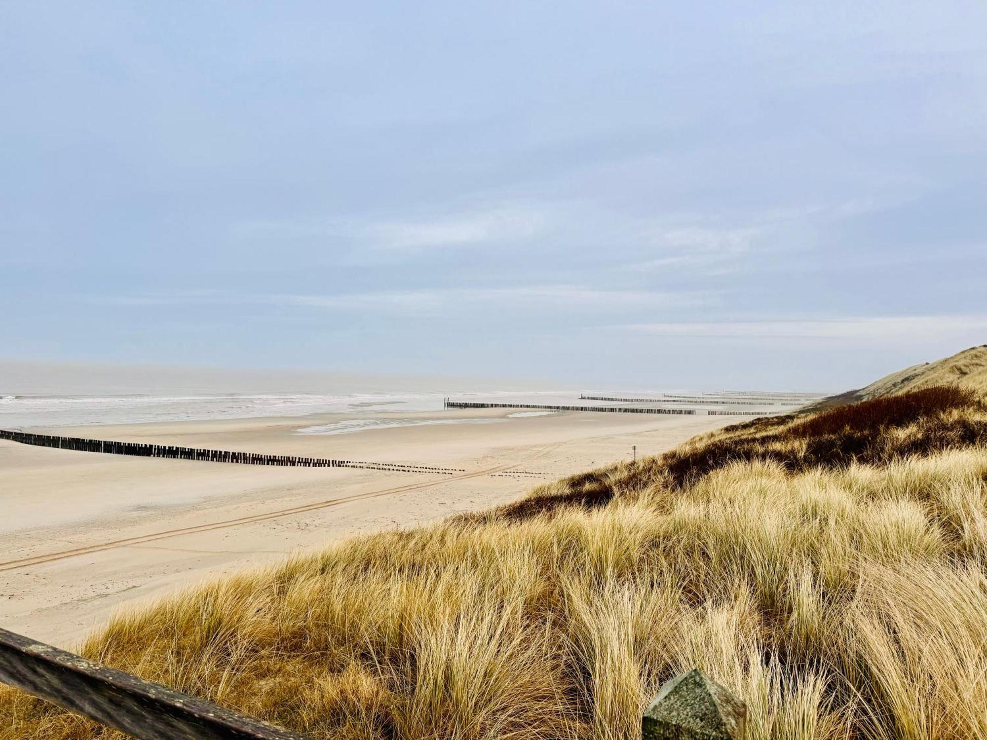 Beach & Forest Retreat -Domburg- Oostkapelle Exteriér fotografie