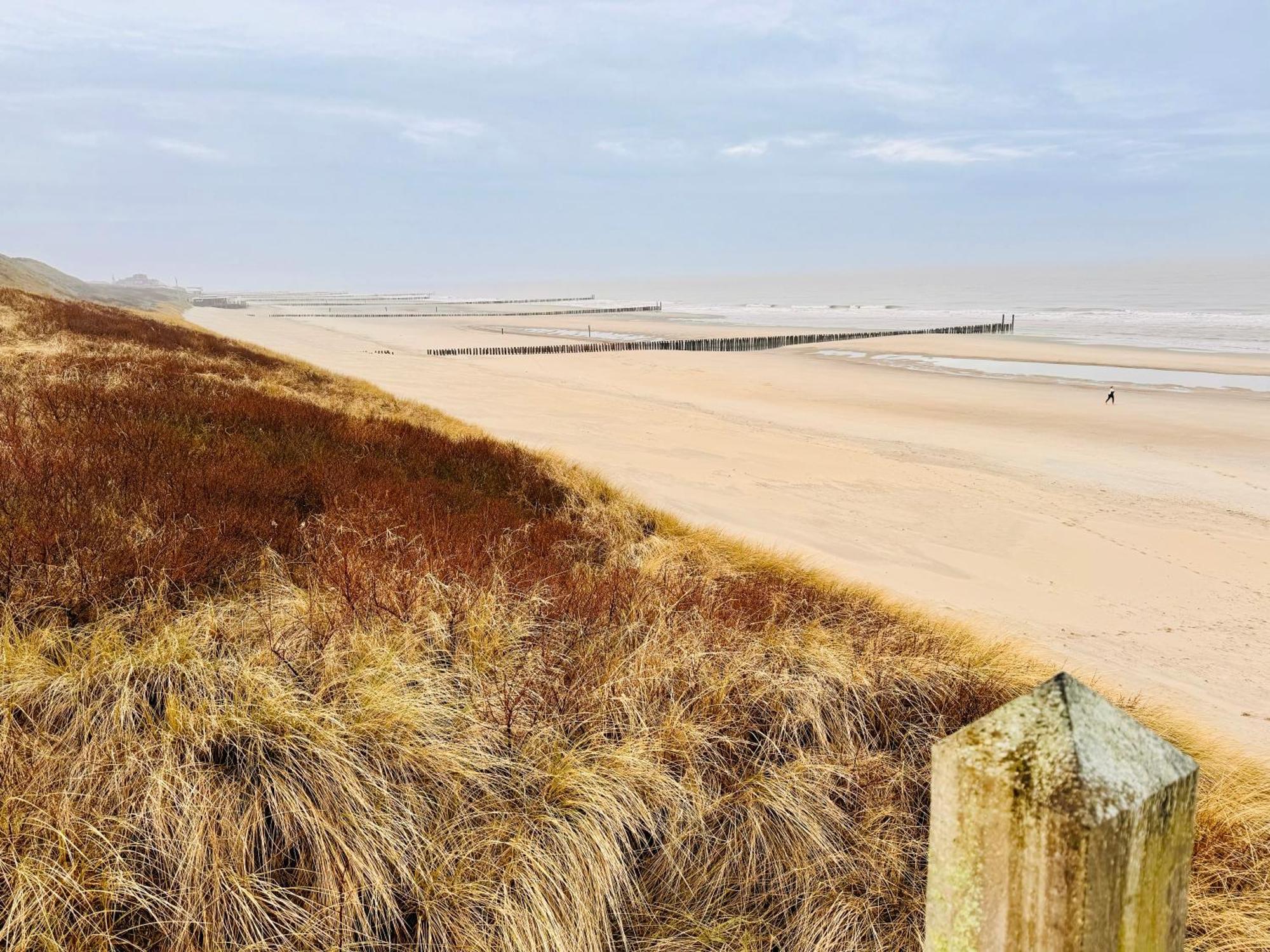 Beach & Forest Retreat -Domburg- Oostkapelle Exteriér fotografie