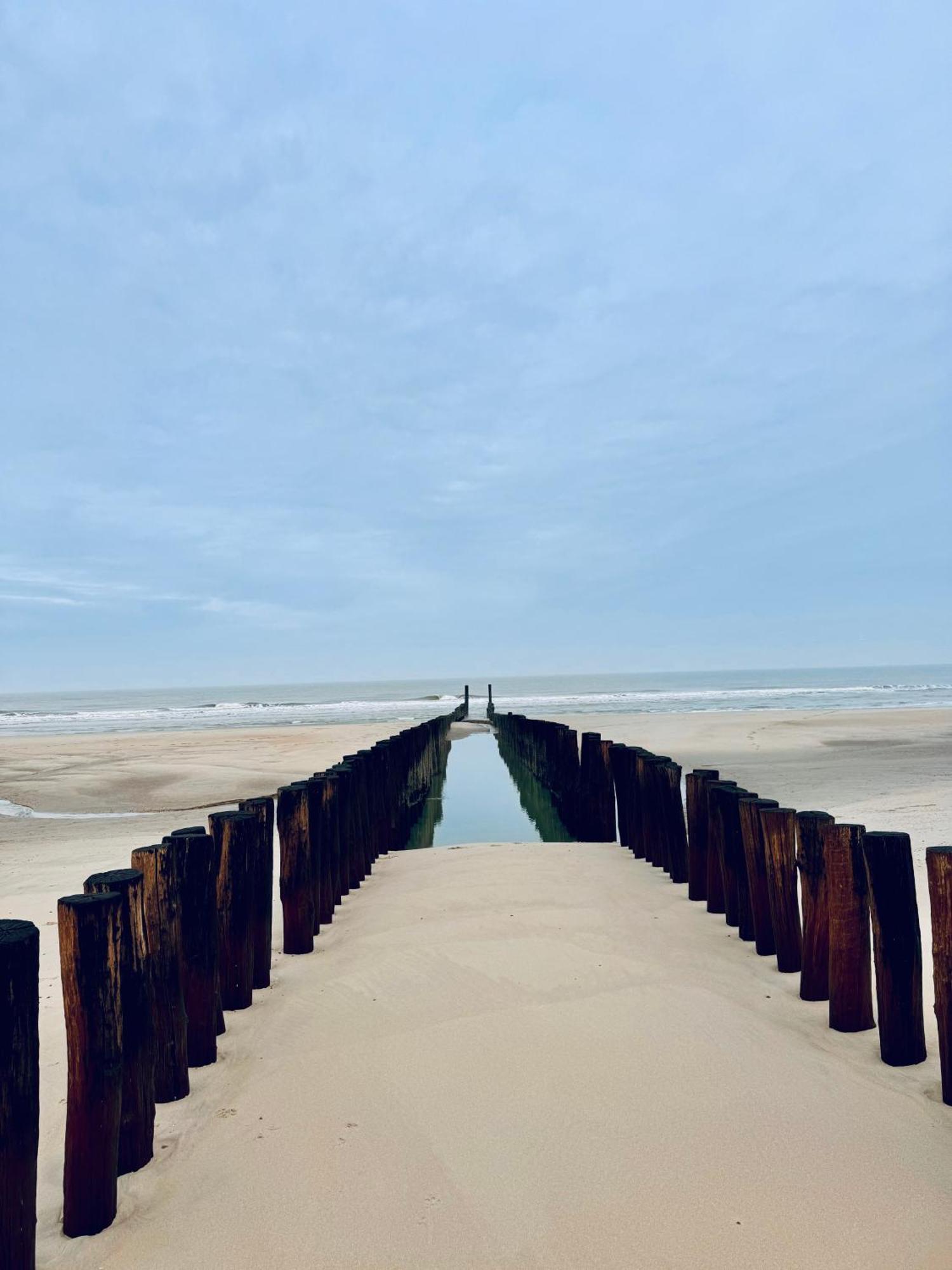 Beach & Forest Retreat -Domburg- Oostkapelle Exteriér fotografie