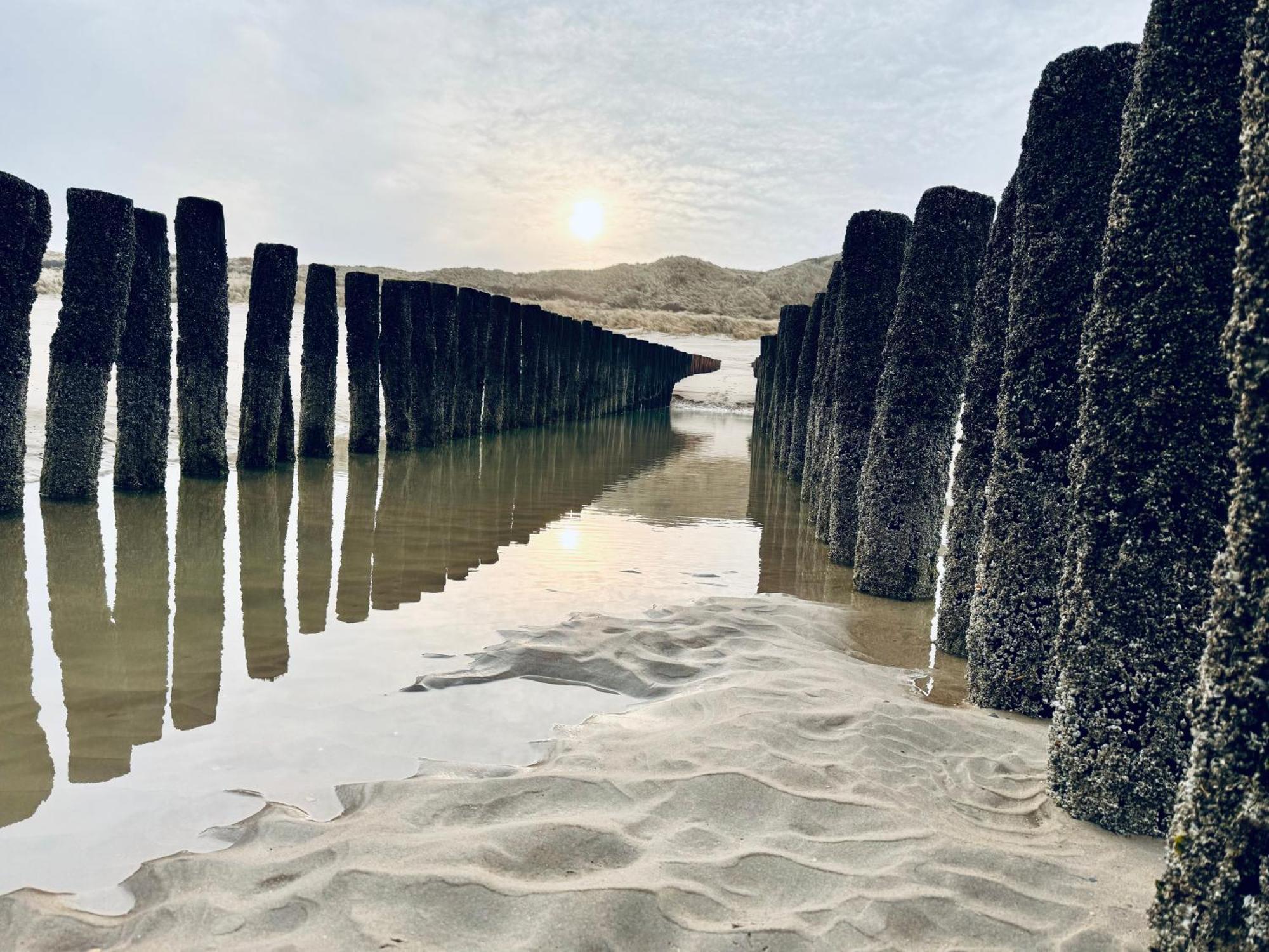Beach & Forest Retreat -Domburg- Oostkapelle Exteriér fotografie